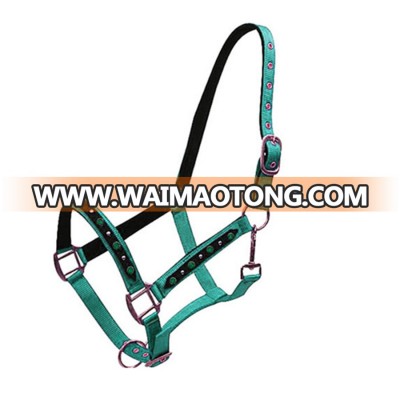 Personalized Nylon Trophy Horse Halter