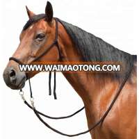 Horse Rope Bridle