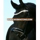 Horse leather bridle